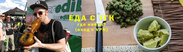 индика Богданович