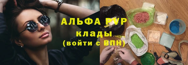индика Богданович