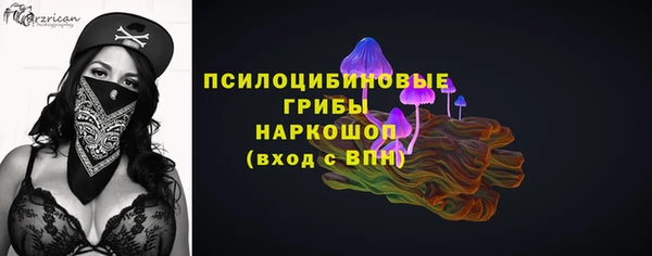 индика Богданович