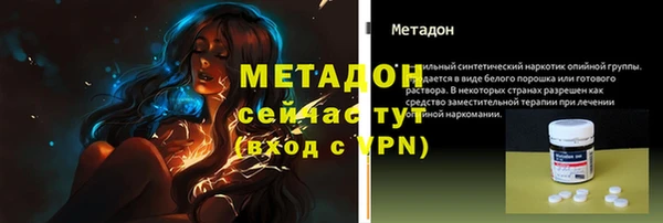 индика Богданович