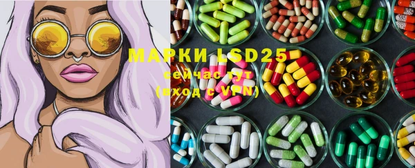 индика Богданович