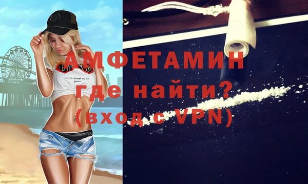 индика Богданович