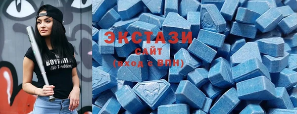 индика Богданович