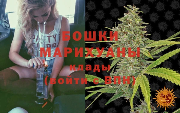 индика Богданович