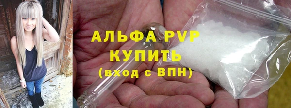 индика Богданович